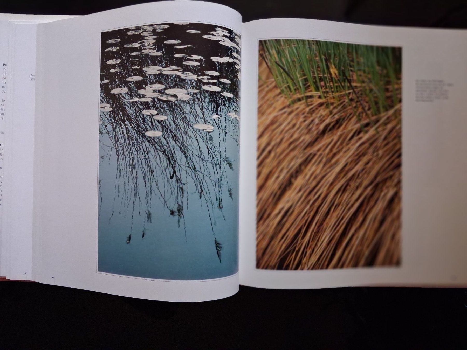 Bücher: NATURE Genève -Moulin-de-Vert, Réserve naturelle - 1995 - EO – Gebraucht aus Cartigny von pgc_fk9s 7