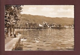 ZUG - Am Quai