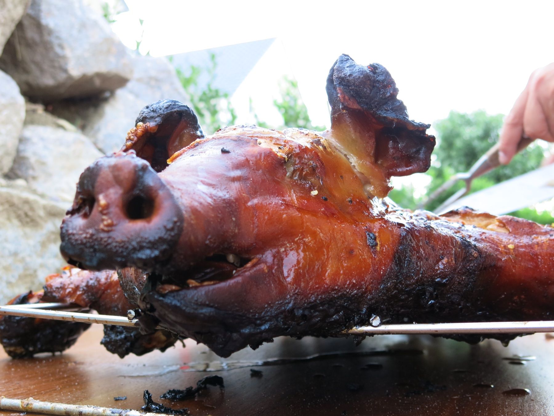 Grills: Für knusprige Spanferkel: BARBECUE GRILL BOX – Gebraucht aus Rietheim von Saxempire 7