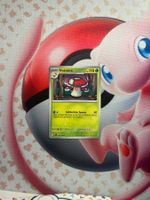 Hutsassa Pokemon Karte Holo/Reverse Holo/Common