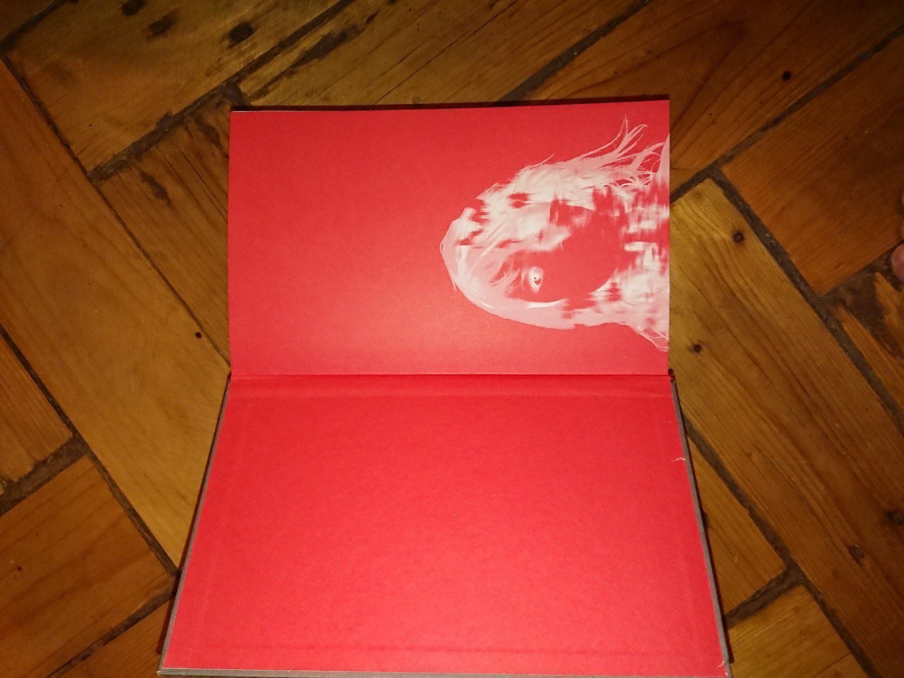 Libri: Buch Ausgelöscht Cody McFadyen – Usato da Wittenbach venduto da Aberanders 1