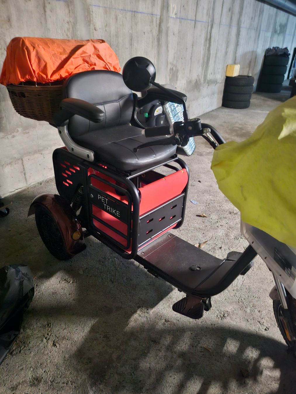 Veicoli elettrici: PET TRIKE ComfortMobility E-Roller von esmoto – Usato da Basel venduto da lovedragon 1