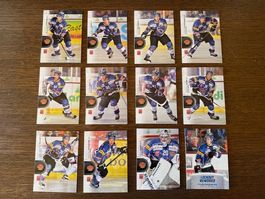 Traiding Card/Lockoutsaison 2012-2013/Biel/ Base Card