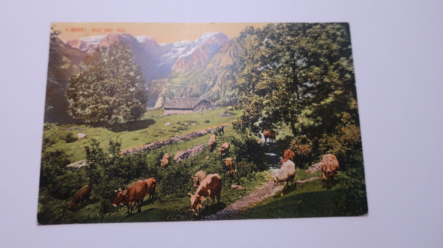 Ansichtskarten: Auf der Alp 1912 Vaches – Gebraucht aus Cormoret von Pascalll2001 1