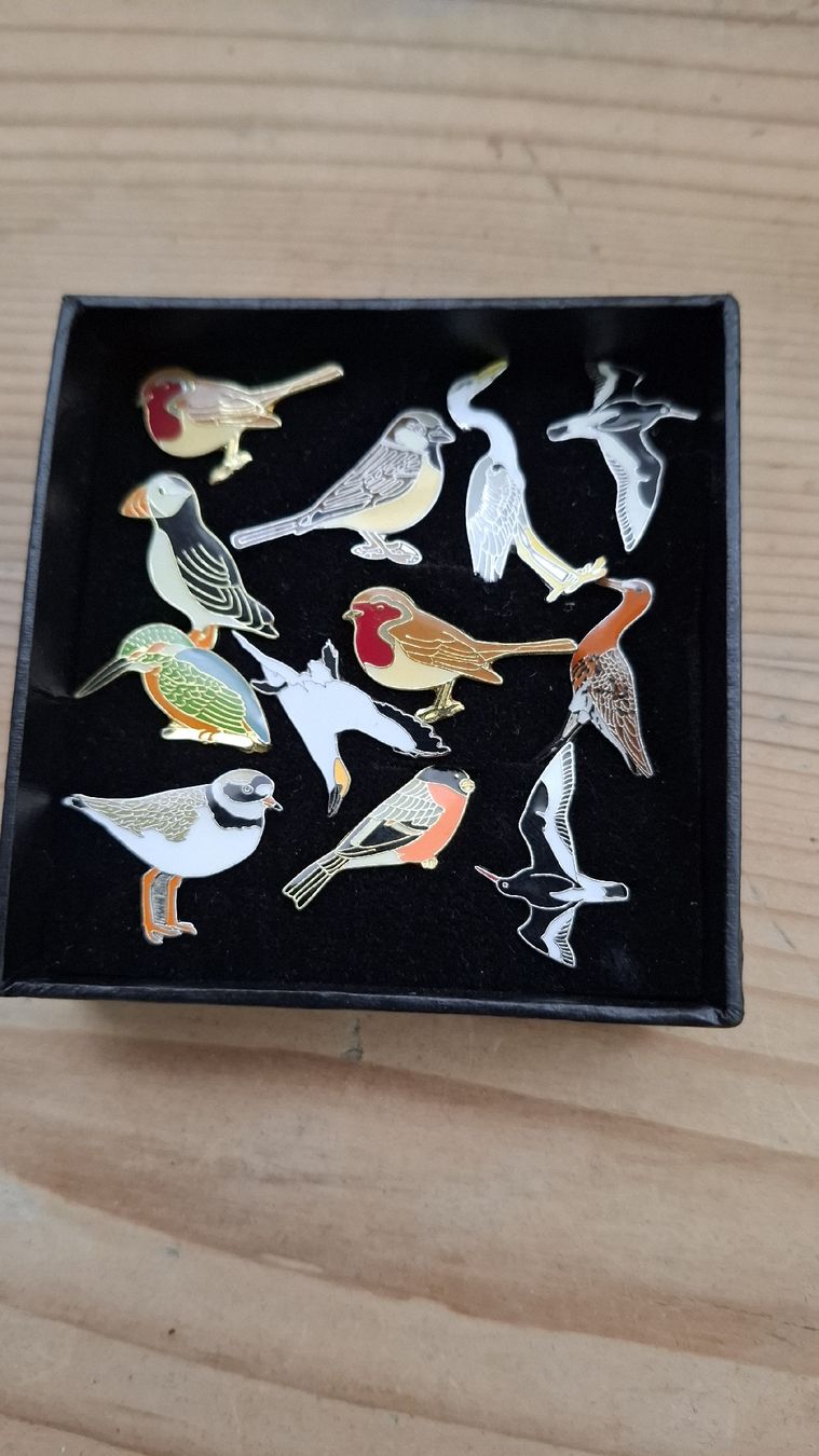 Broschen & Nadeln: 12 Vogel Anstecker Brosche Pin – Gebraucht aus Buochs von regenbogen7365 1