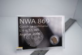 Meteorit   NWA 869 Chondrit  in Sammlerbox