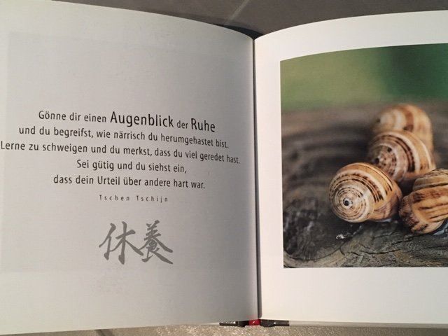 Bücher: ZEN "Zeit" – Neu (gemäss Beschreibung) aus Hinteregg von Carimba90 2