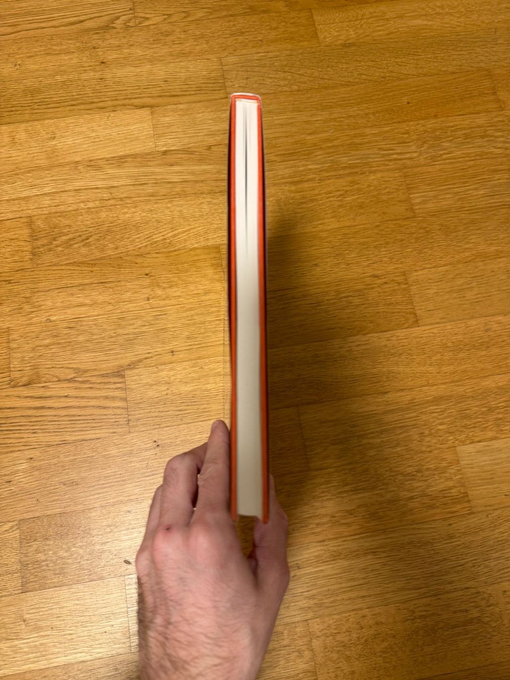 Libri: Buch Artillerie 1 - Walter Bertschmann – Usato da Schenkon venduto da Arthur199 2
