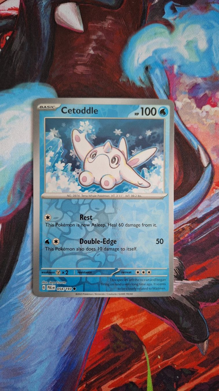 Pokémon Carte collezionabili: Cetoddle - Reverse Holo - Pokemon Paldea Evolved – Usato da Altstätten SG venduto da GGsGameshop