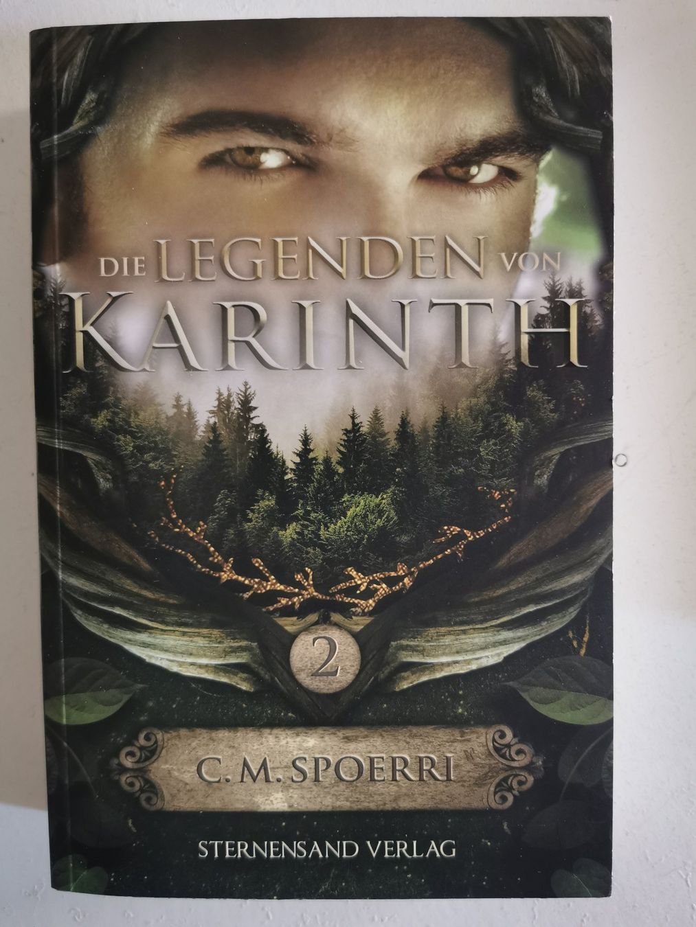 Libri: Die Legenden von Karinth – Usato da bern venduto da jeannie2006 4