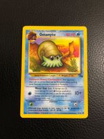 Fossil Omanyte 52/62 Ab 1