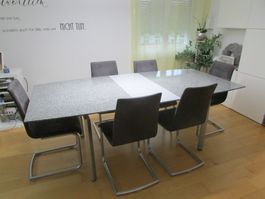 Freischwinger Stühle Microfaserstoff