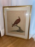 Handkolorierte Radierung William Hayes Bussard