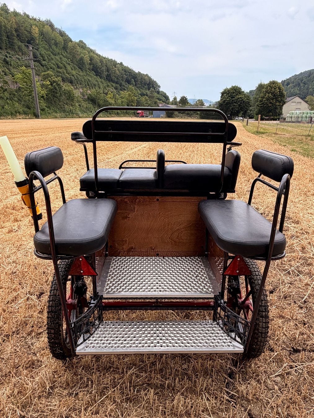 Carrozze: Pony-Kutsche / Marathon-Wagonette Glinkowksi – Usato da Diegten venduto da M.eseli 2
