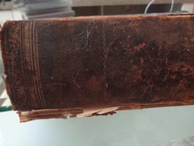 Libri: Napoleon Bonaparte Antikes Buch – Usato da sargans venduto da Angamar 3