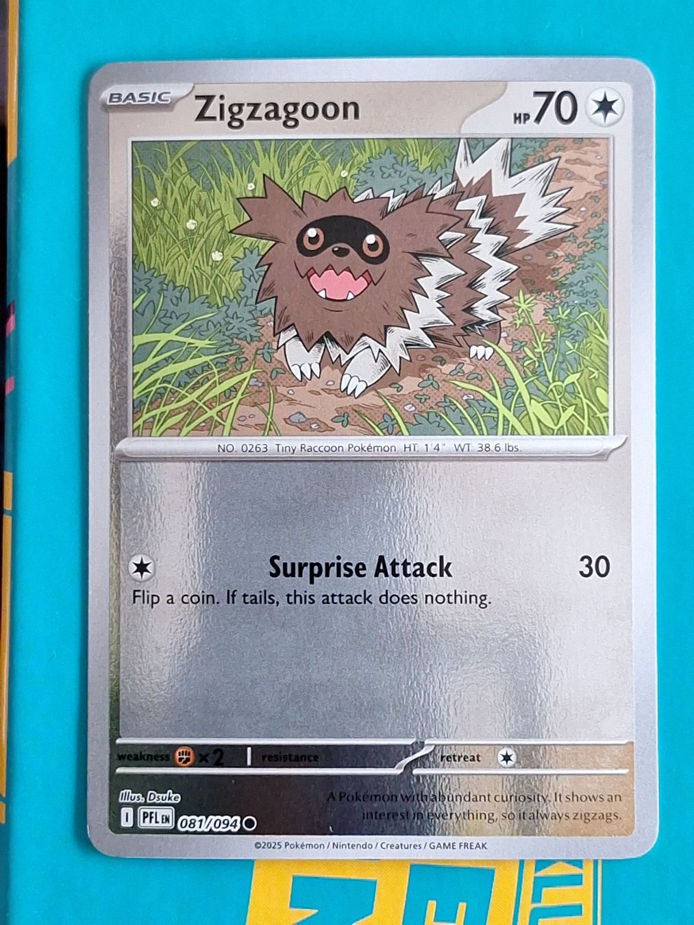 Pokémon Carte collezionabili: Zigzagoon - Reverse Holo - Pokemon Phantasmal Flames – Usato da Altstätten SG venduto da GGsGameshop