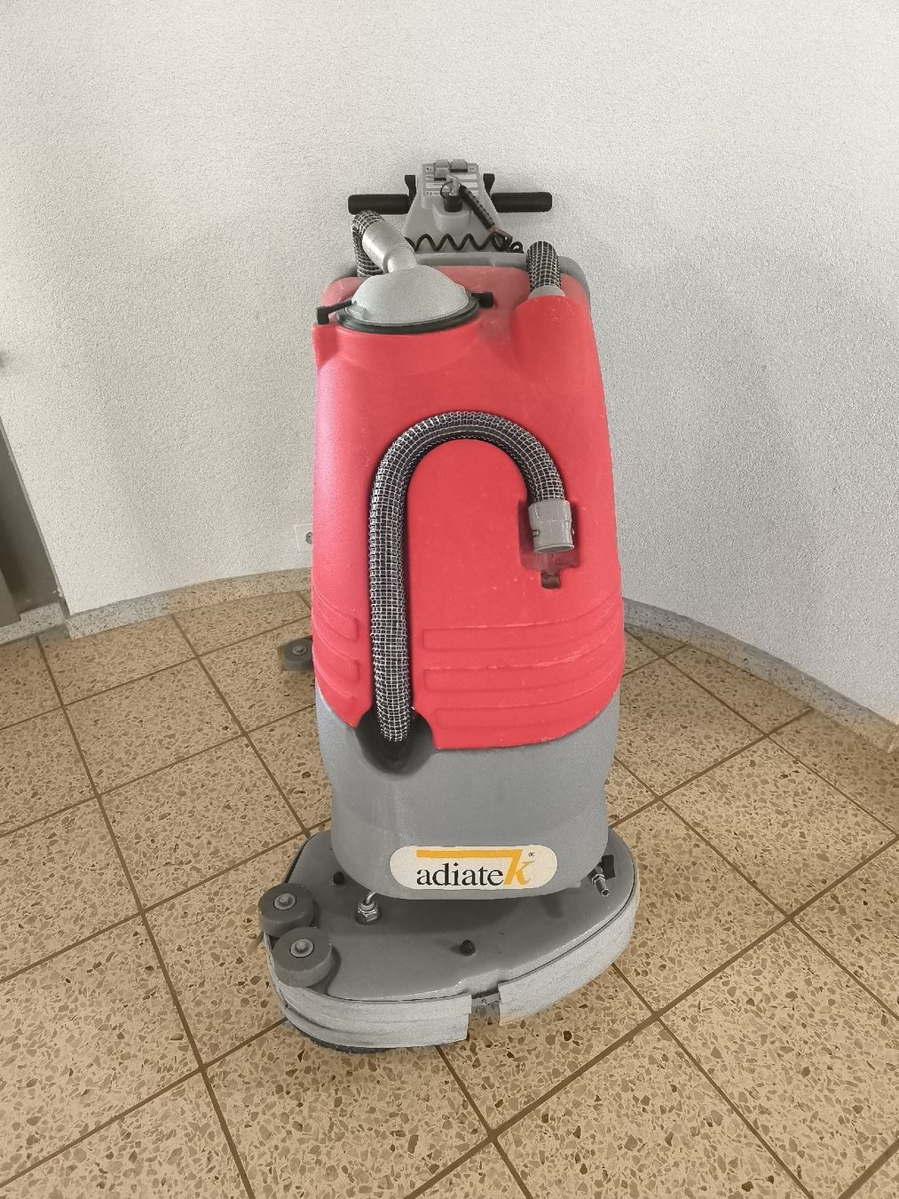 Tutte le macchine: Scheuersau Maschine Ruby 55t – Usato da Bretzwil venduto da N-Bahner 1