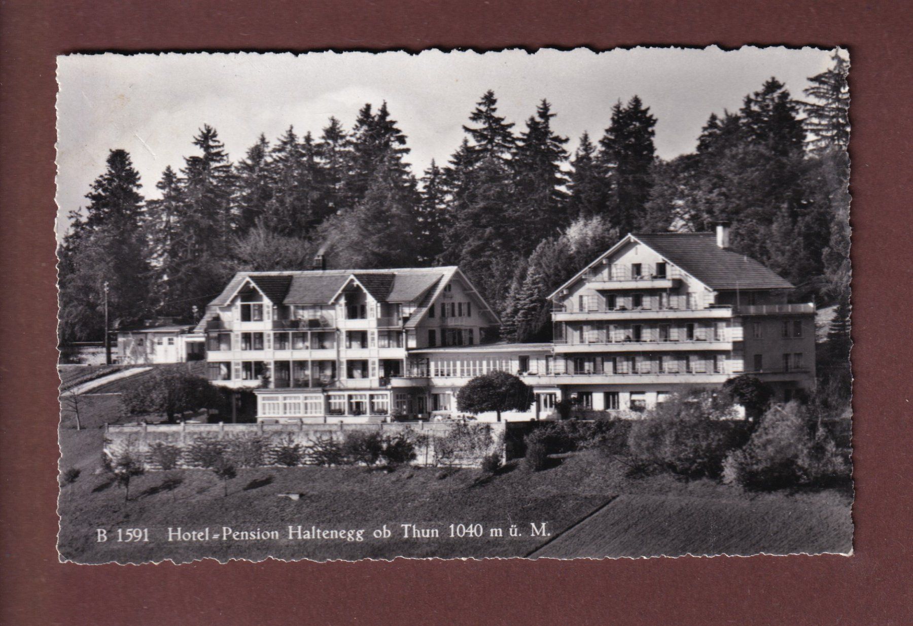 Ansichtskarten: THUN - Hotel-Pension Haltenegg - 1966 – Gebraucht aus Pully von nicecards