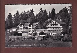 THUN - Hotel-Pension Haltenegg - 1966
