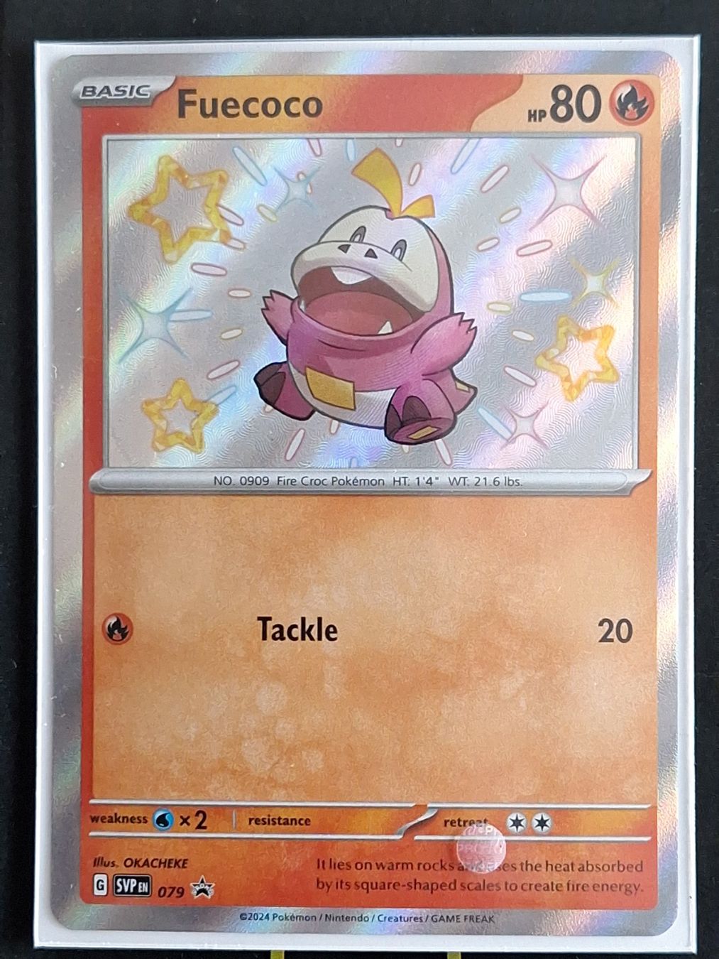 Pokémon Carte collezionabili: Shiny Fuecoco - Promo – Usato da Altstätten SG venduto da GGsGameshop