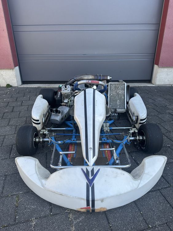Kart 125ccm Fernando Alonso 1