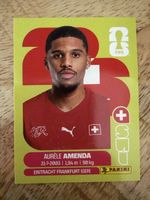 Panini SUI 7