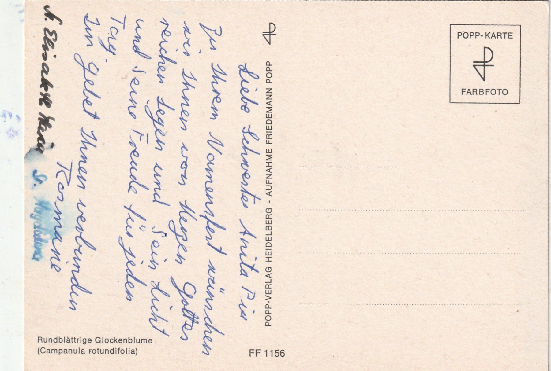 Cartes postales: Blumenkarte – D'occasion à Lumbrein par made02 1