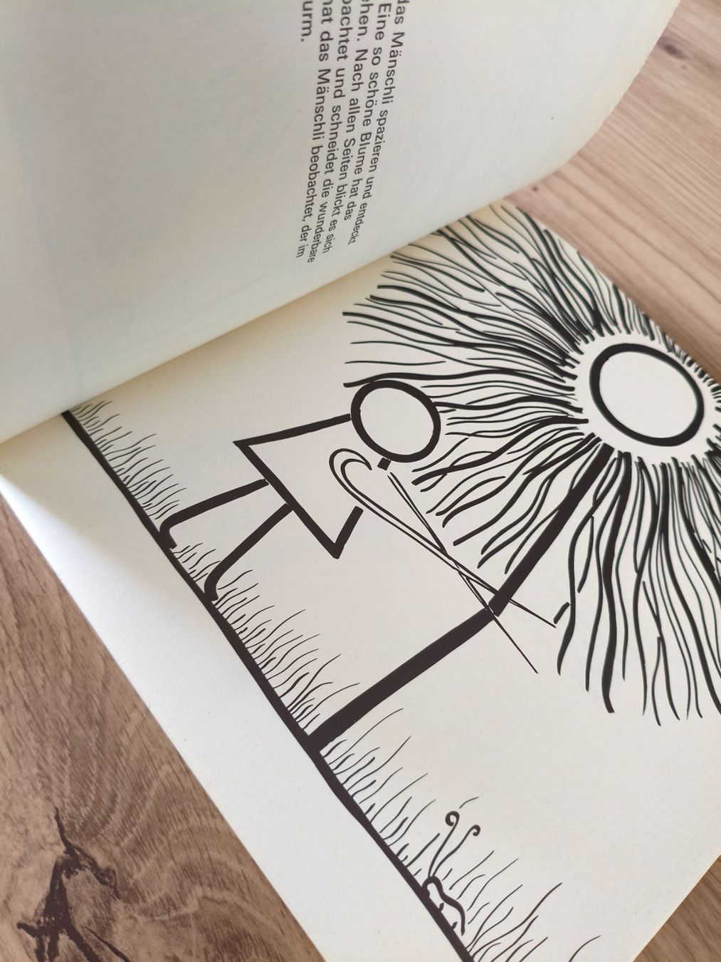 Libri: Die wunderbare Blume von Beat Richner (80er) – Usato da Schaffhausen venduto da philscardstore 6