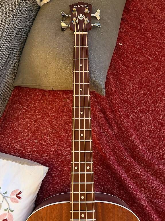 Harley Benton Strumenti musicali: Harley Benton Accoustic basse – Usato da Belmont sur Yverdon venduto da stemya 1