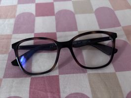 Monture Rayban 