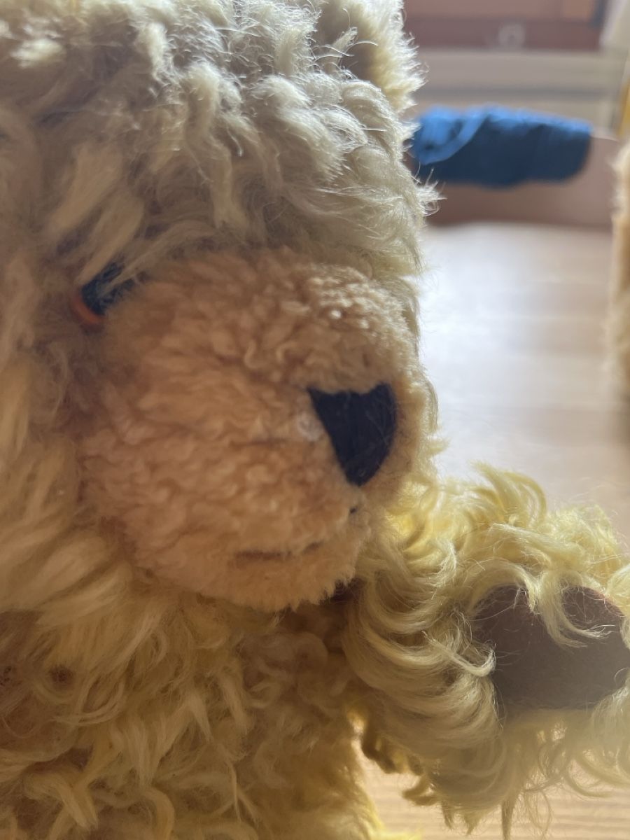 Spielzeuge: alter Plüsch Teddybär – Gebraucht aus hüntwangen von Fiorenzaanna 1