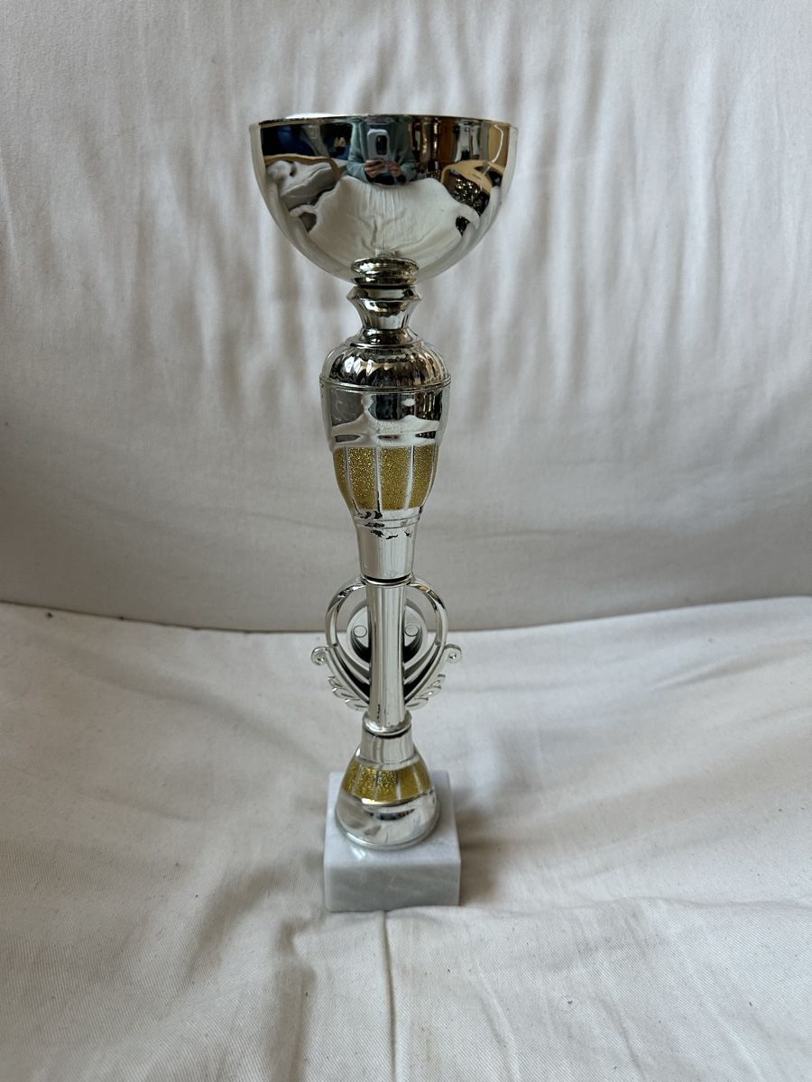 Altre raccolte & rarità: Silberner Pokal – Usato da Basel venduto da ari_f26x 2