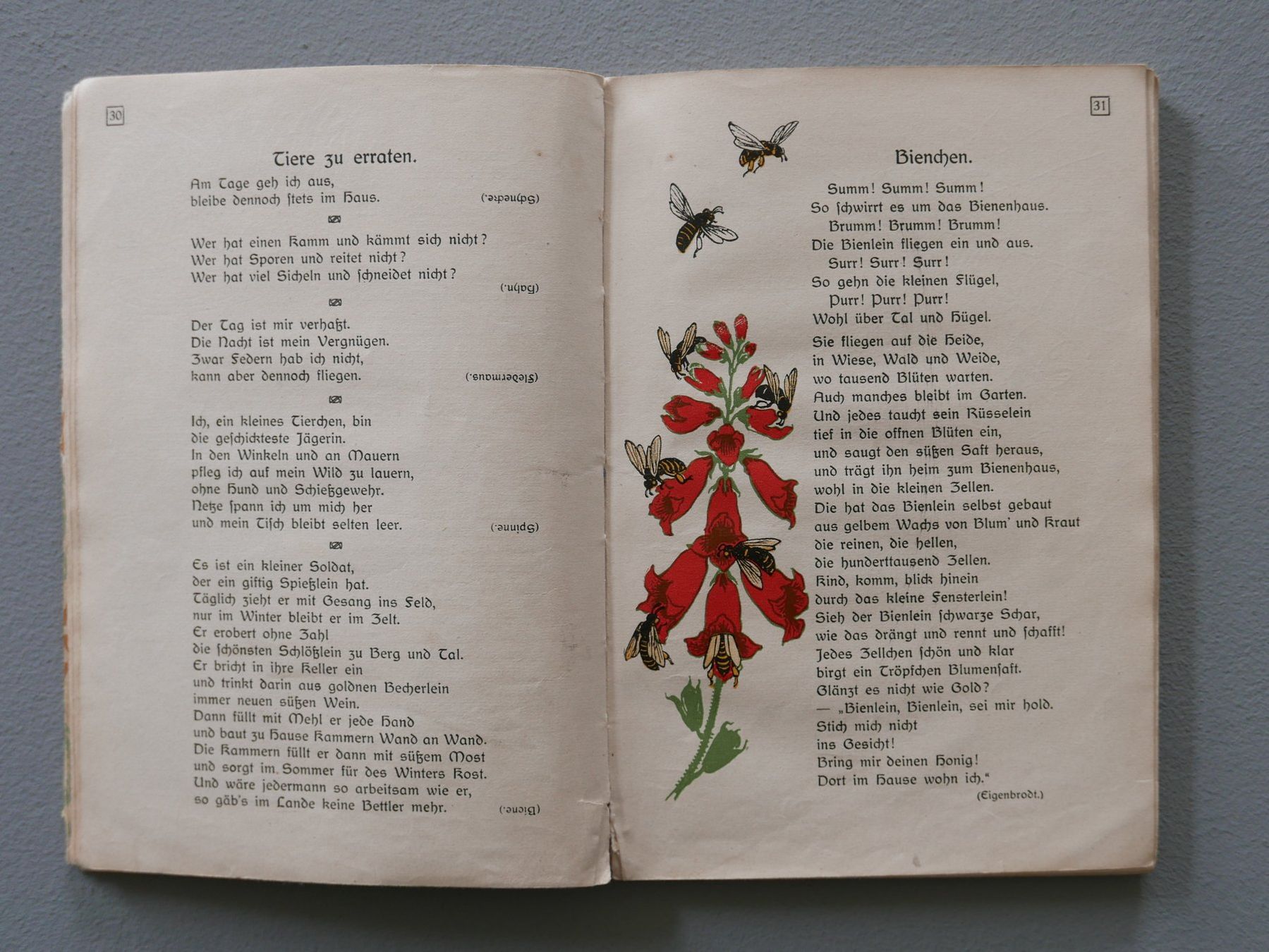 Libri: ANTIKES SCHWEIZER KINDERBUCH VON 1917 – Usato da Balgach venduto da Zwischenraum 5