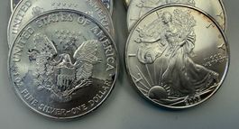 (1221) USA, 25 x 1 Unze, Eagle 1986 - 2016, div. Jahre stgl