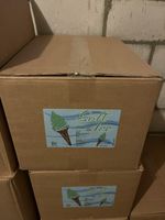 Pistazien Soft Ice Pulver, 1 Karton à 10 Beutel