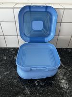Original Tupperware Boxen 22x22x6cm