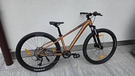 SCOTT Roxter 600 26 Kinder Moutainbike mit Garantie
