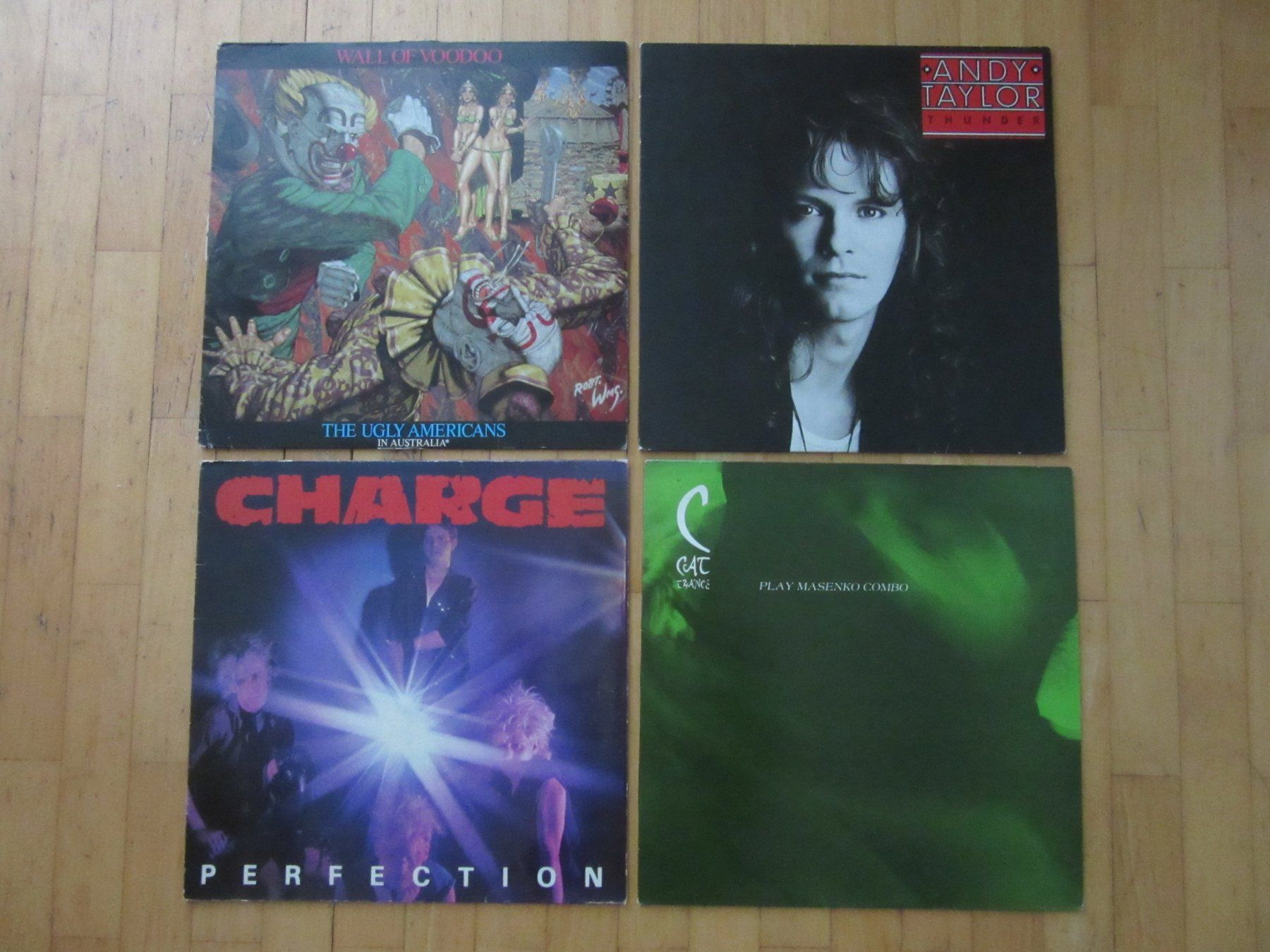 Dischi in vinile: 15 verschiedene Langspielplatten – Usato da Degersheim venduto da Tforelle 1