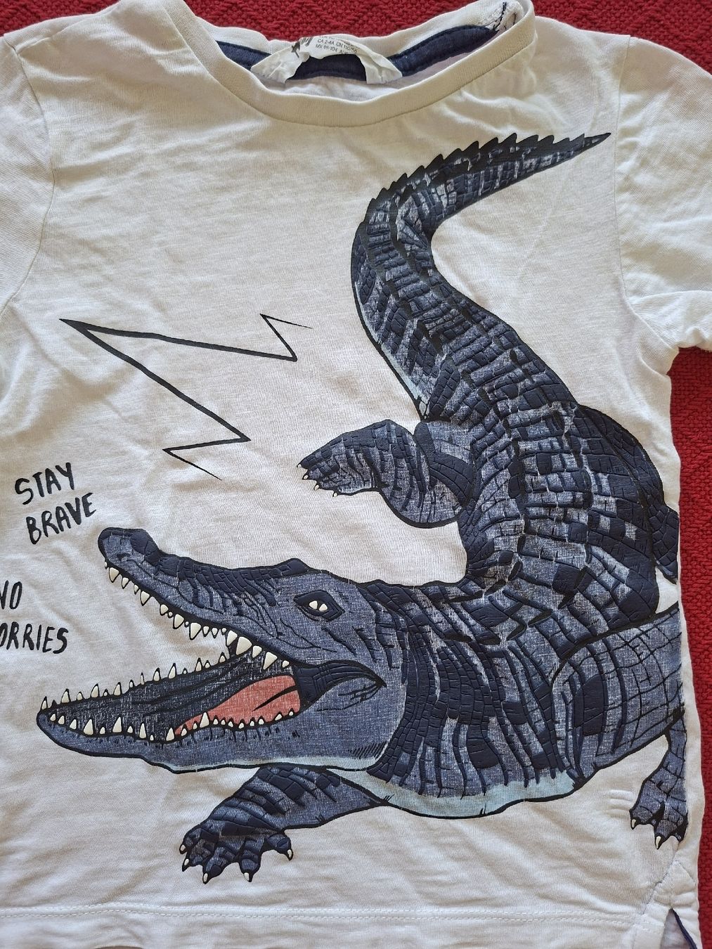 H&M Camicie, T-shirt & Polo: T-Shirt Gr. 98 / 104 – Usato da Balterswil venduto da Steineparadies 1