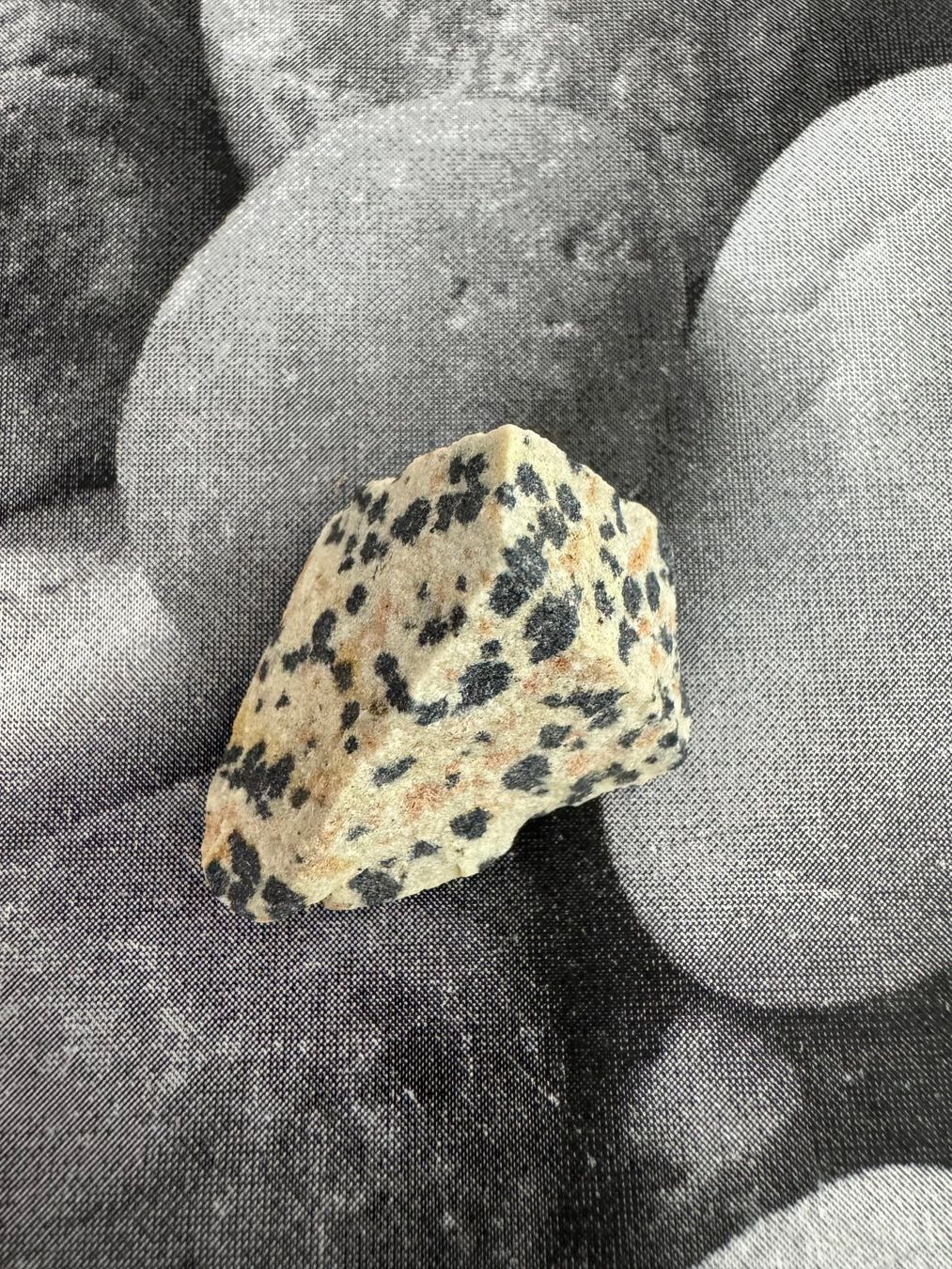 Minerali & Pietre curative: Dalmatiner-Jaspis roh – Nuovo (secondo la descrizione) da Biberist venduto da Steine