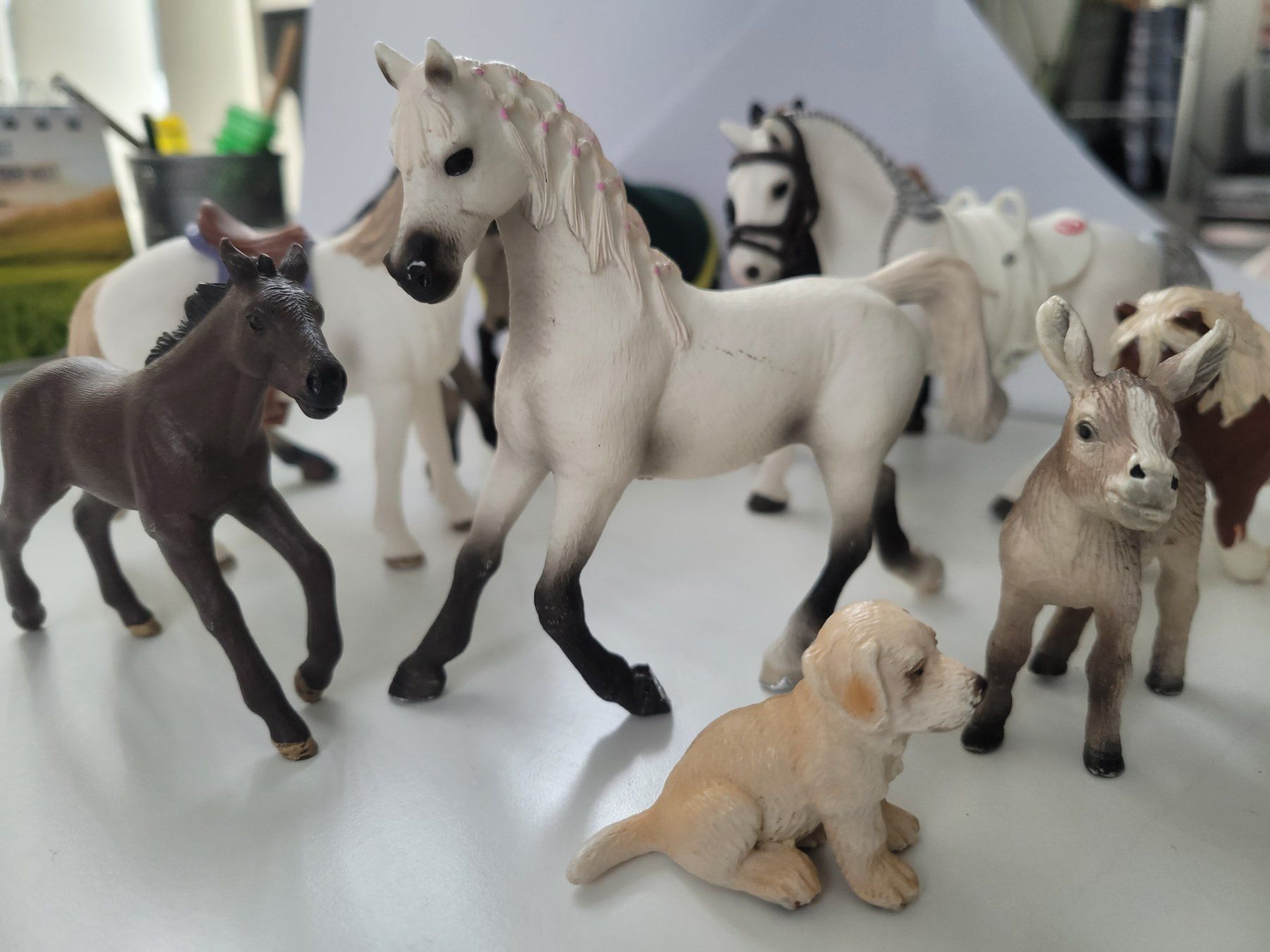 Schleich Statuette: Schleichtiere 10 Stück – Usato da ennenda venduto da popcorn007 4