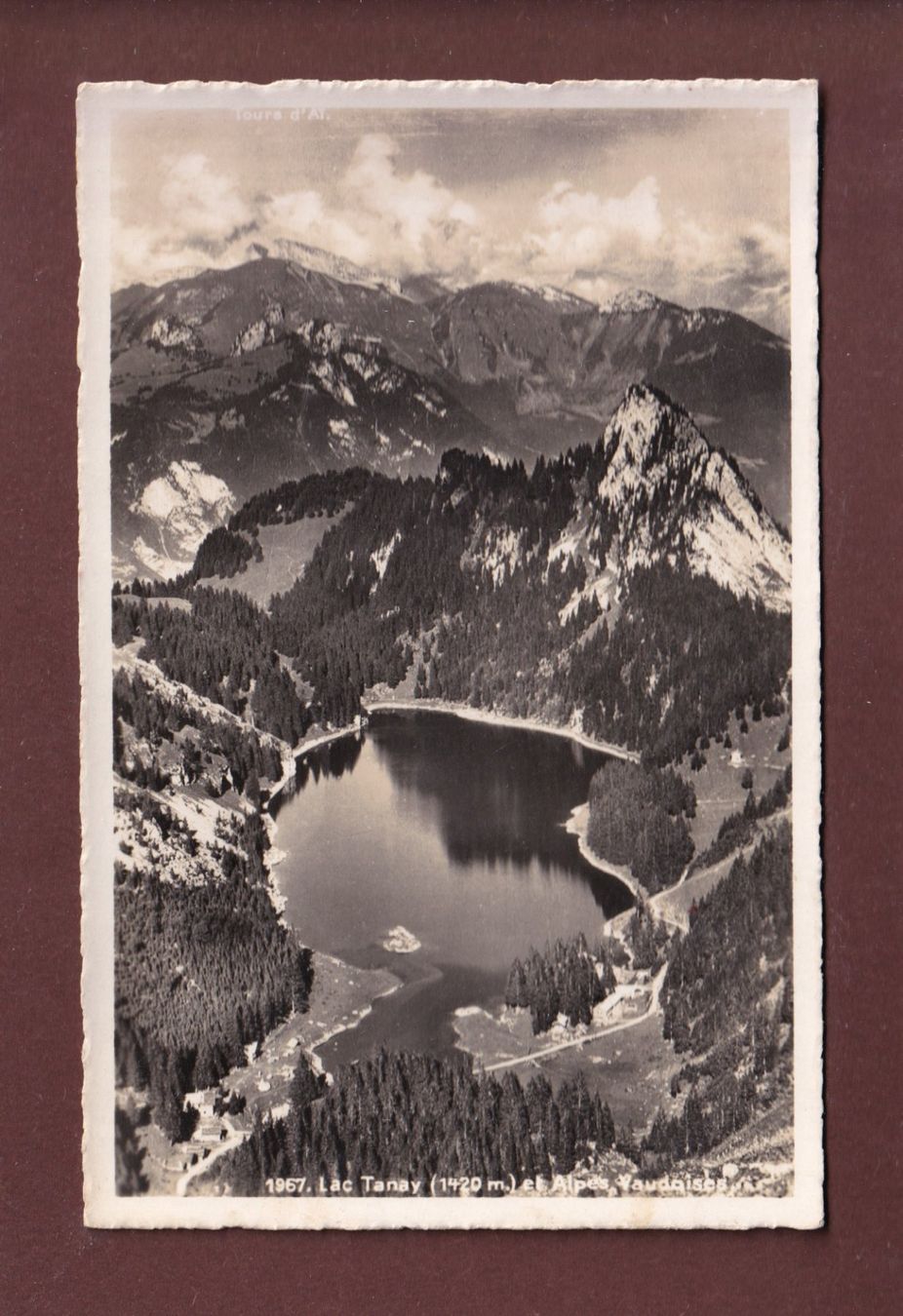 Cartoline postali: LAC TANAY - 1956 // pli // – Usato da Pully venduto da nicecards