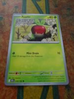 POKEMON  Applin   I  DRI EN  016/182   HP40   2025