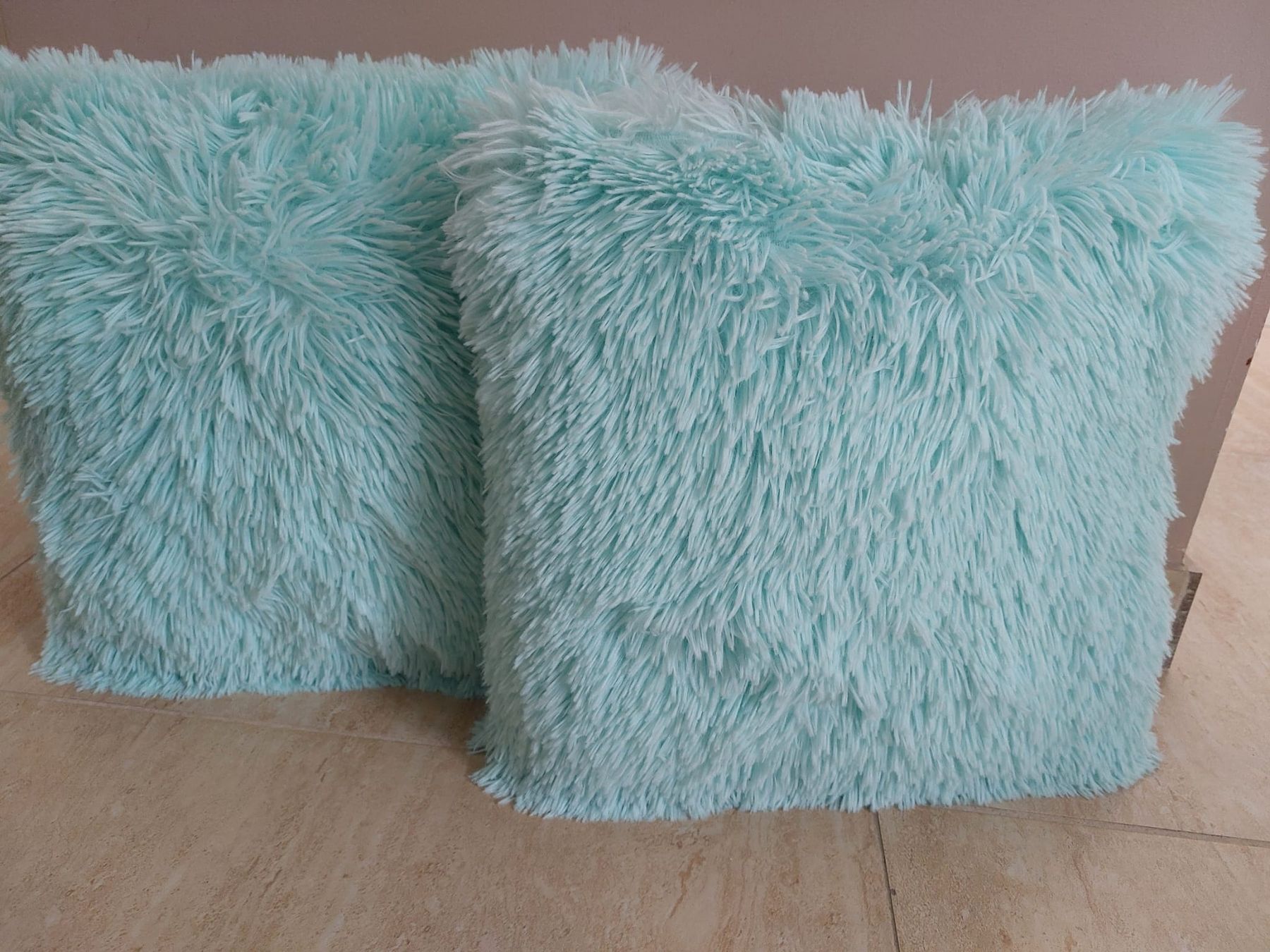 Cuscini: Lot de 2 Coussins Décoratifs menthe – Usato da Mont-sur-Lausanne venduto da ane_pgq6 2
