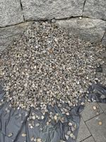 Zierkies grau Gartensteine zum Selbstabholen gebraucht