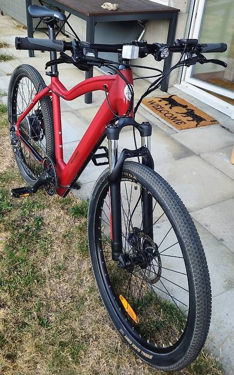 Biciclette: Neuwertiges E-MTB Allegro – Usato da Bern venduto da dom_ph6c 1