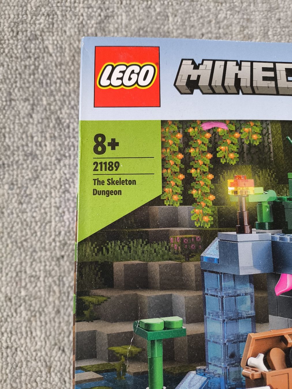 Lego Kit di costruzioni: LEGO Minecraft 21189 The Skeleton Dungeon neu – Nuovo e nell'imballaggio originale da schaffhausen venduto da veidas 3
