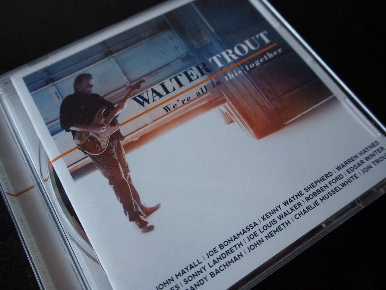 CDs: WALTER TRAUT We're all in this toghether CD – Gebraucht aus Zofingen von sosalinos01