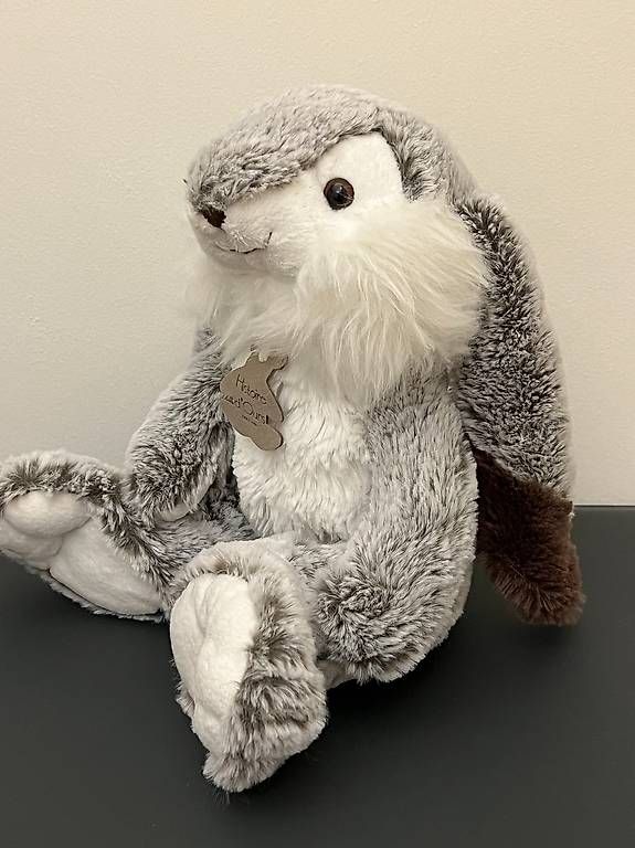Giocattoli: Histoire dOurs Plush Bunny – Usato da Auvernier venduto da cai_9v9y 1