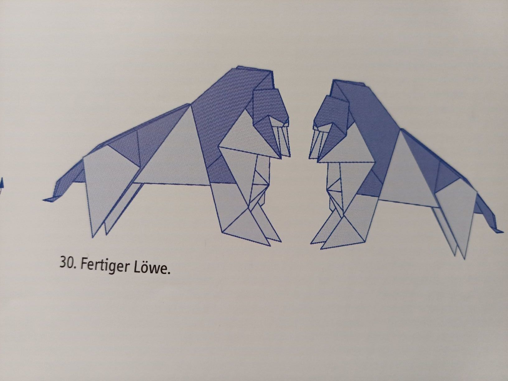 Libri: Faszinierende Origami Tiere – Nuovo (secondo la descrizione) da Gächliwil venduto da lesidees 5